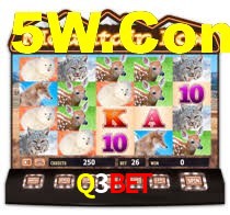 Q3BET,Q3BET.Com